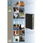 NIV Thinline Bible (Eng)