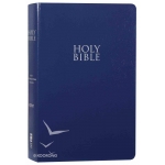 NIV Holy Bible (Leather Look)